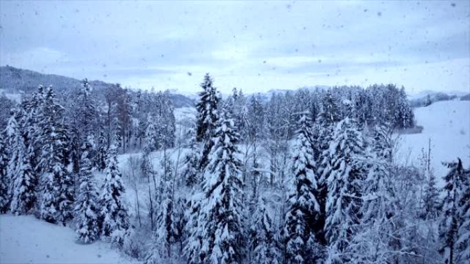 户外下雪冬日天气的鸟瞰图