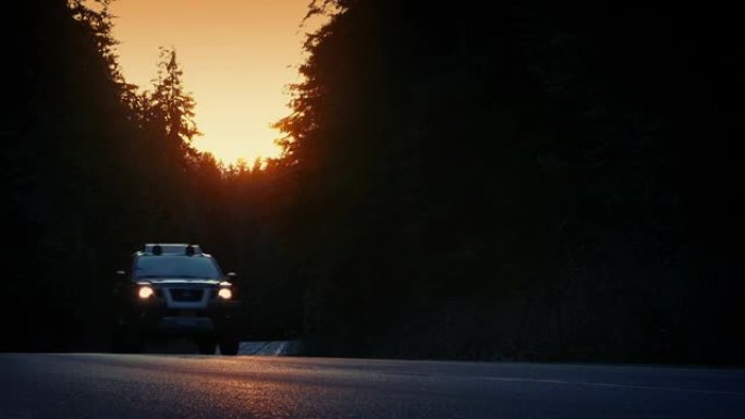 日落时，汽车在高大的林木之间行驶