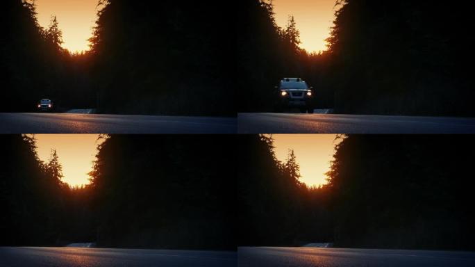 日落时，汽车在高大的林木之间行驶