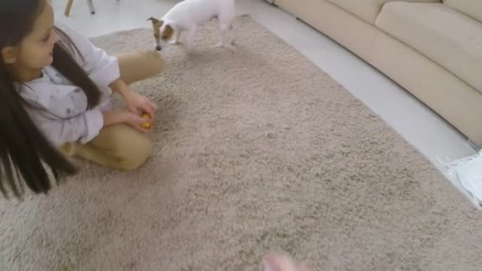 女人和小女儿在客厅玩可爱的狗的POV