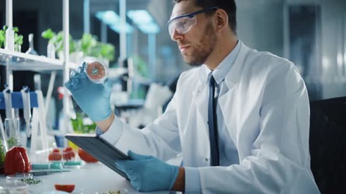 男性微生物学家在平板电脑上工作，并检查实验室种植的纯素食肉样本。在现代食品科学实验室中研究植物性牛肉