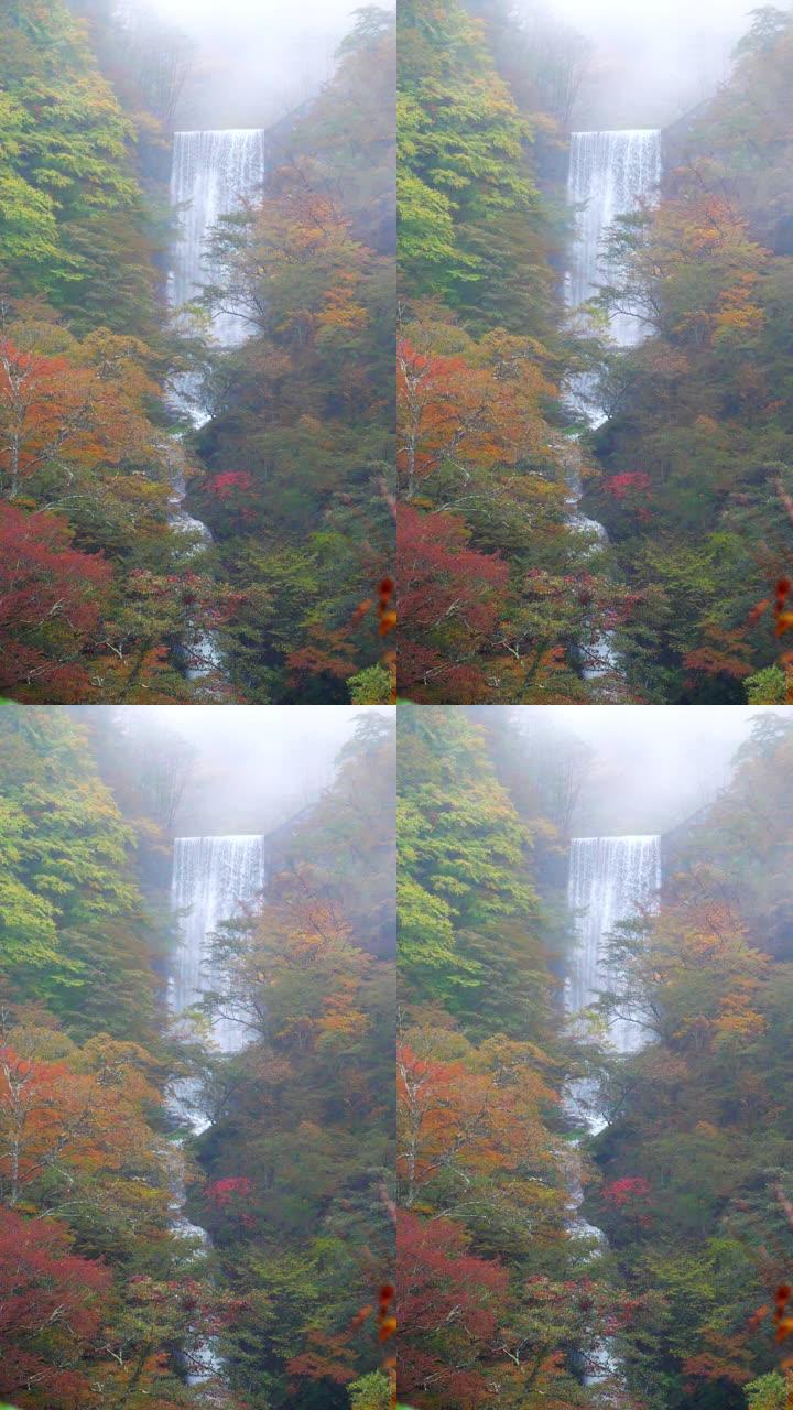 日本日光秋天的瀑布，垂直