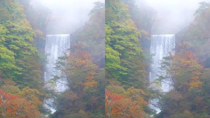 日本日光秋天的瀑布，垂直