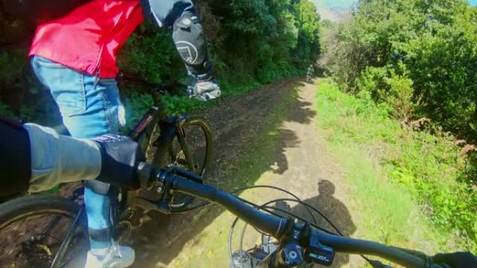 WS POV男子骑着山地自行车穿过森林/西班牙加那利群岛