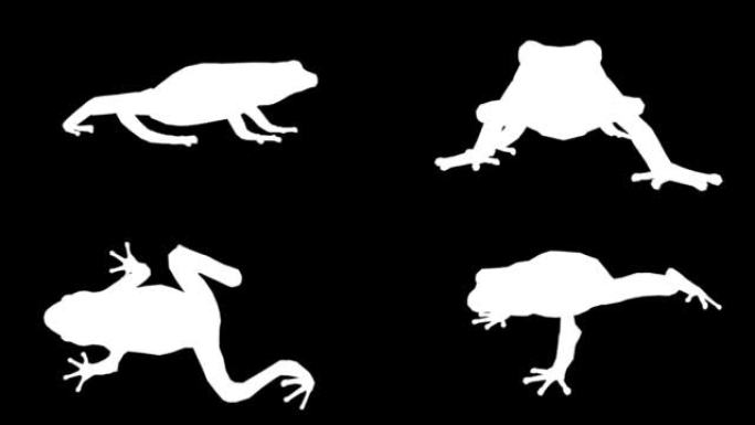 黑色背景上的青蛙轮廓。动物，野生动物，游戏，返校的概念，3d动画，短视频，电影，卡通，有机，色键，人