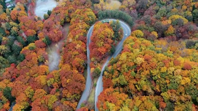 秋天森林中的乡村道路鸟瞰图