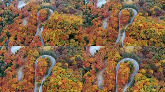 秋天森林中的乡村道路鸟瞰图
