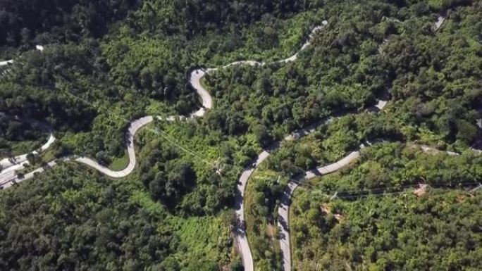 绿色森林中的道路航拍树林山路航拍蜿蜒曲折