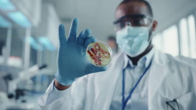 戴着口罩和眼镜的黑人男性科学家看着带有转基因样品化学物质的培养皿。用技术设备在现代实验室工作的微生物