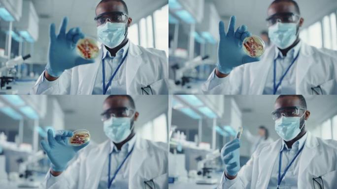 戴着口罩和眼镜的黑人男性科学家看着带有转基因样品化学物质的培养皿。用技术设备在现代实验室工作的微生物