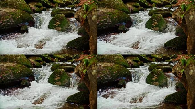 流经苔藓岩石的小溪