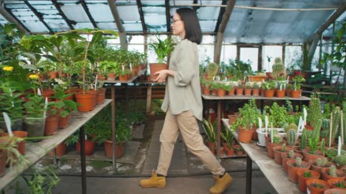带着室内植物走过温室的亚洲妇女