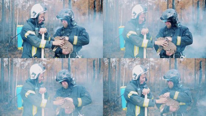 男消防员正在抚摸一只从火中救出的兔子