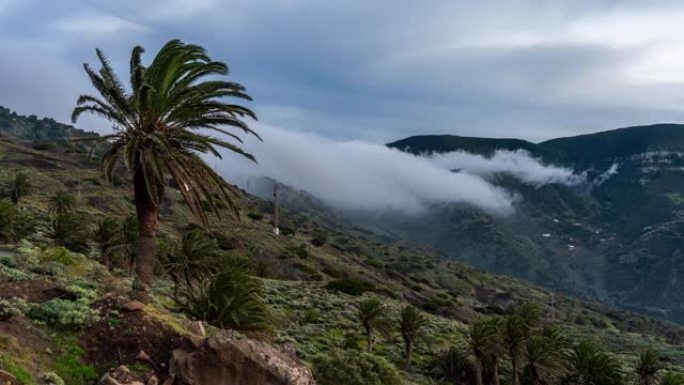 西班牙加那利群岛戈梅拉山脉景观中的WS T/L棕榈树