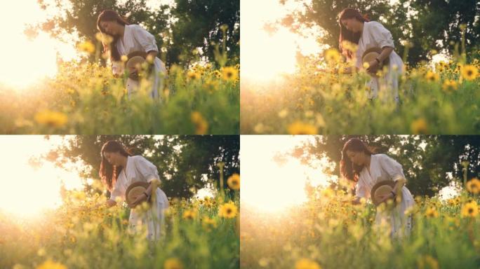 美丽的年轻女子在日落的黄花草地上穿着白色连衣裙