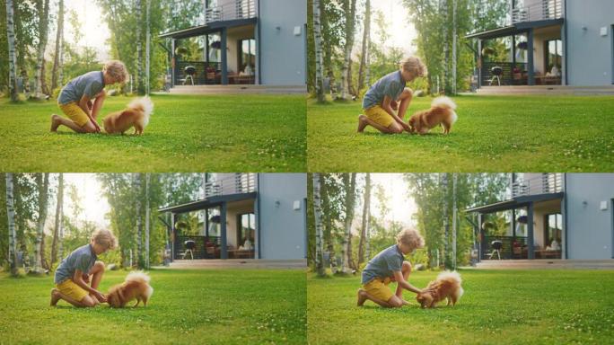 小男孩在后院和可爱的博美犬玩耍。他喂零食和宠物他最好的朋友有趣的蓬松狗。郊区庭院阳光明媚的夏日