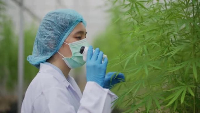 女性植物学家通过微型便携式显微镜观察外部开花结构或晶体三色