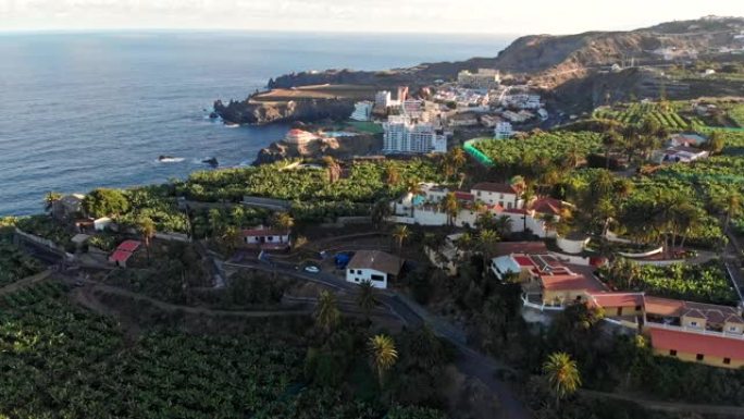 西班牙加那利群岛特内里费岛Icod de los Vinos。飞越香蕉种植园。香蕉在明亮的阳光下生长