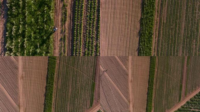 一个非洲黑人农民用数字平板电脑监视玉米和蔬菜作物的高空中缩小视图