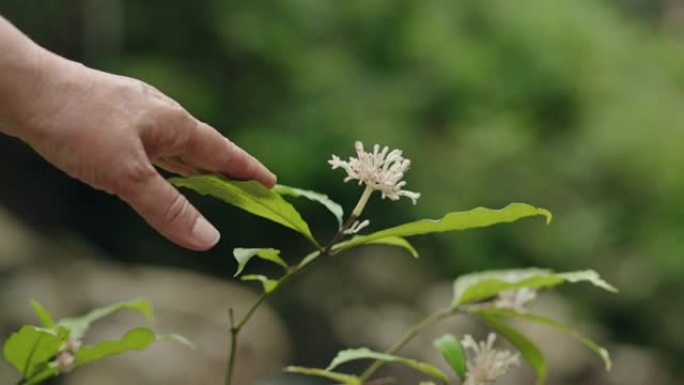 与自然联系!环境保护接触碰到绿色空镜