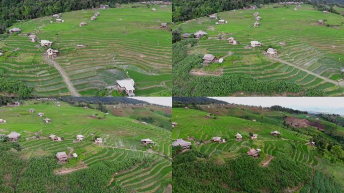泰国清迈Ban Pa Pong Piang稻田田的鸟瞰图