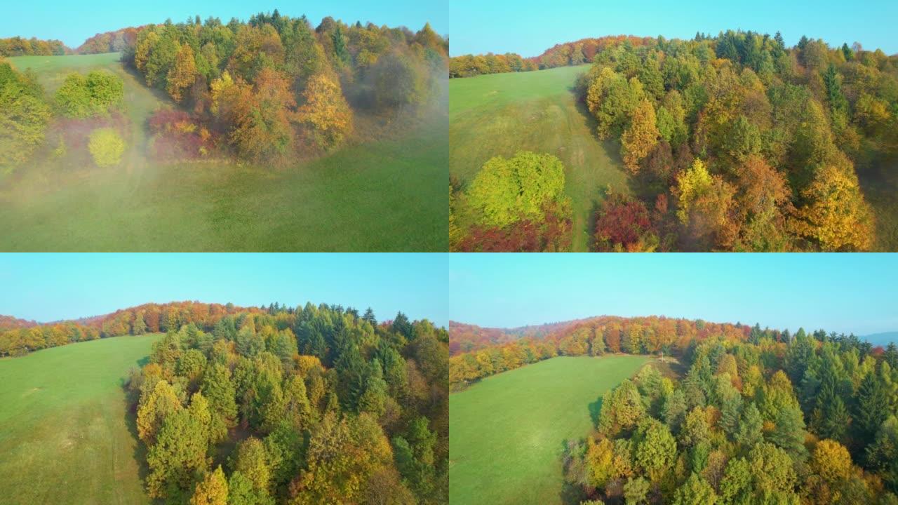 空中: 从薄雾笼罩的草地向秋天的丘陵林地的美丽飞行