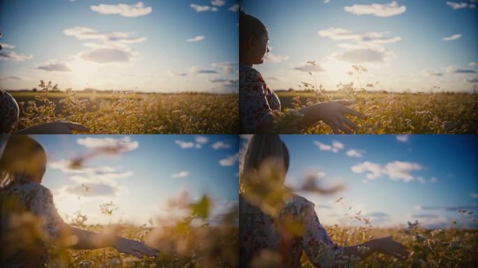 跟踪拍摄的女人走在阳光明媚的田园诗般的荞麦田地里