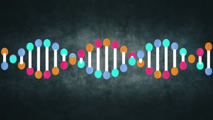 遗传DNA结构后期DNA