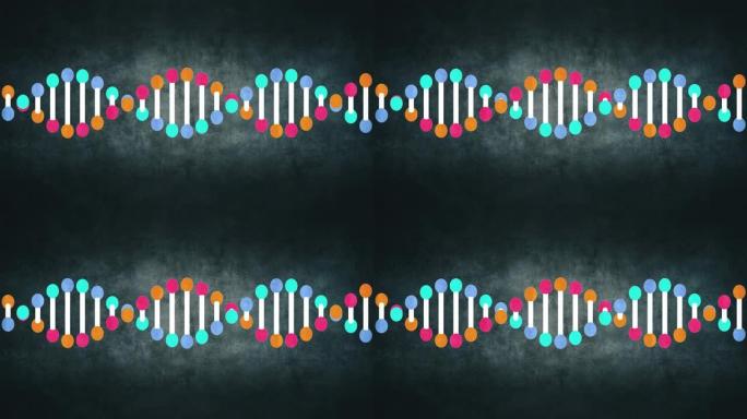 遗传DNA结构后期DNA
