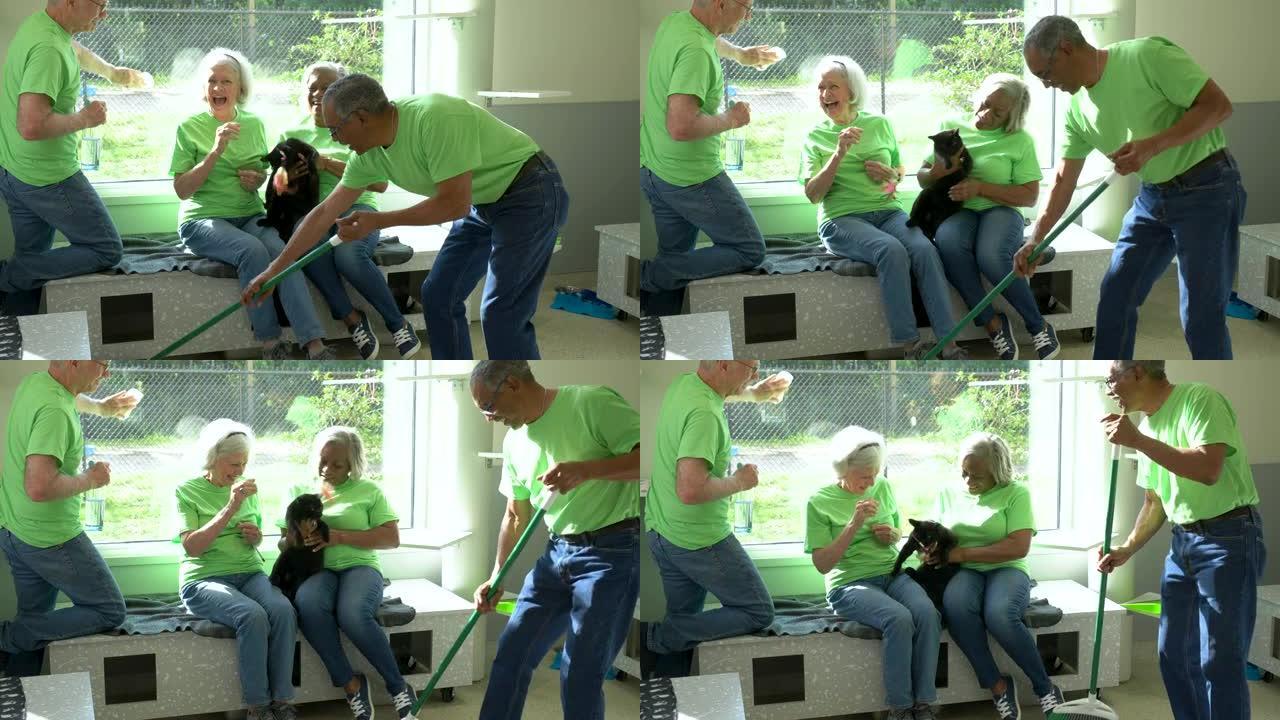 宠物庇护所清洁的高级志愿者，与猫一起玩