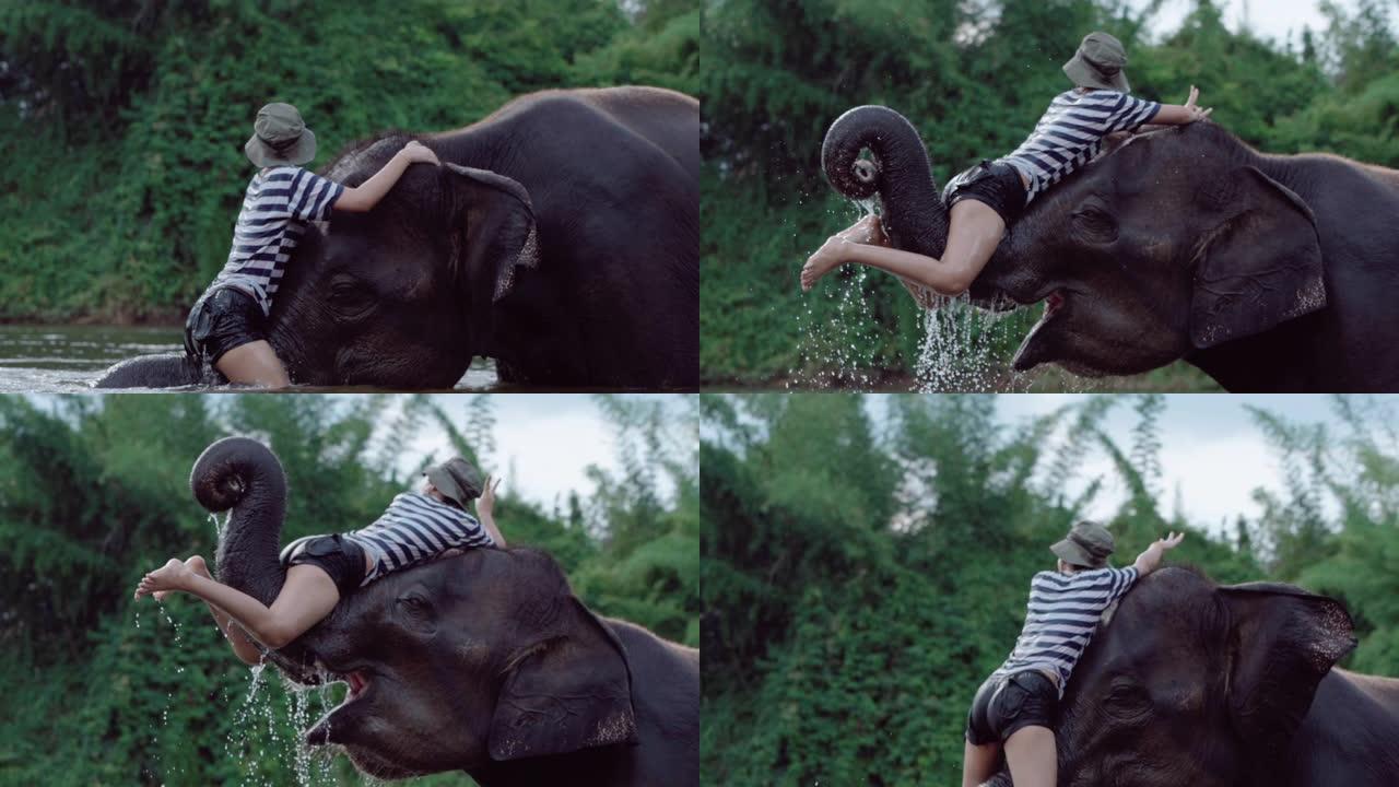 在泰国河上骑大象的女人