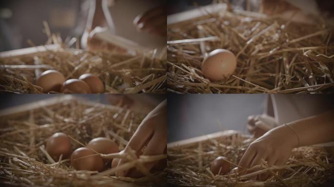 SLO MO女孩捡起新鲜鸡蛋
