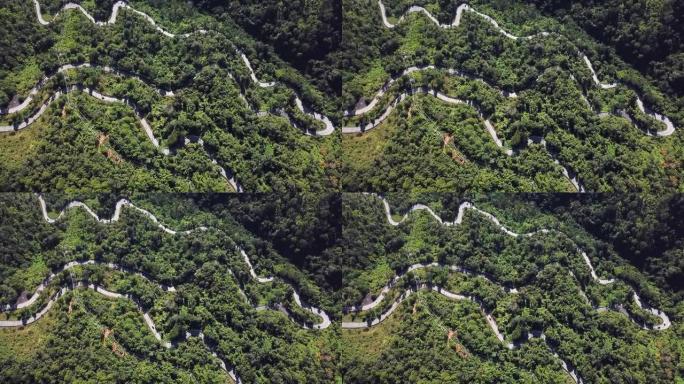 绿色森林中的道路弯曲山路蜿蜒
