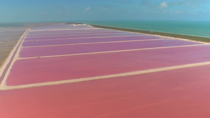 空中: 飞越Las Coloradas盐田令人叹为观止的粉红色泻湖。