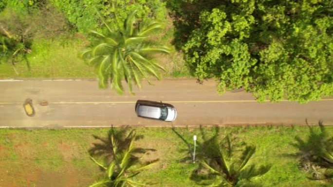 高空自顶向下:越野车在热带道路上行驶时避免沥青洞