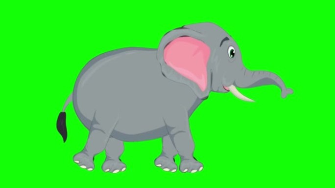 绿色屏幕上的可爱大象卡通动画。动物，野生动物，游戏，返校，3d动画，电影，有机，色键，人物动画，设计