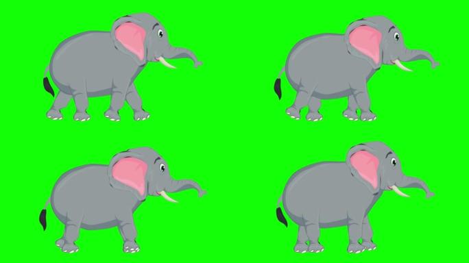 绿色屏幕上的可爱大象卡通动画。动物，野生动物，游戏，返校，3d动画，电影，有机，色键，人物动画，设计