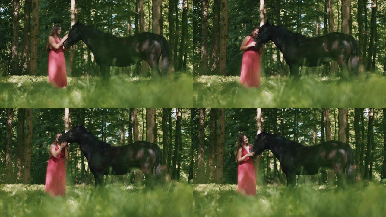 穿着红色连衣裙的SLO MO女人在阳光明媚的森林中抚摸并拥抱她的马