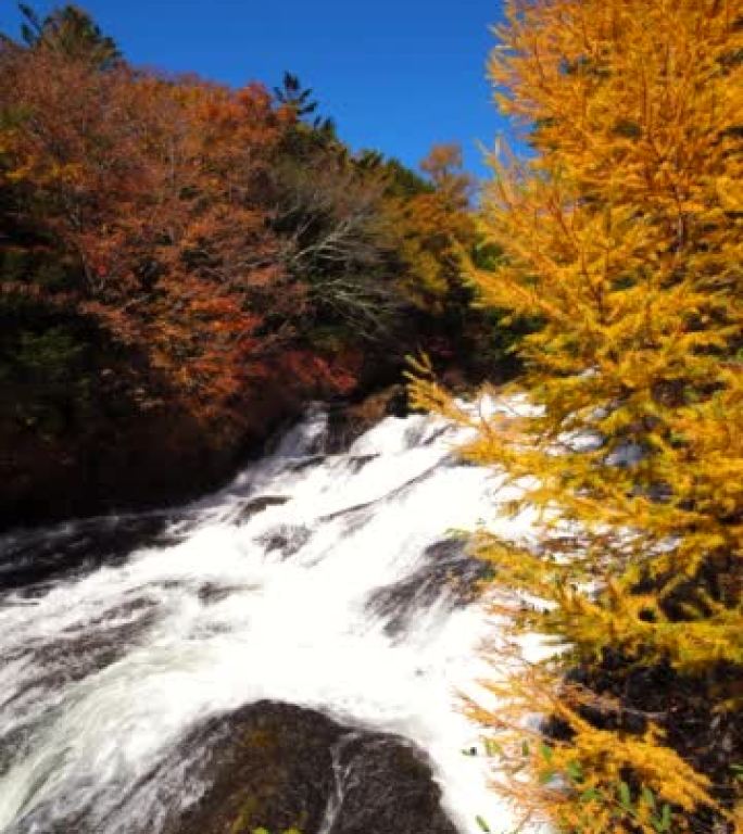 秋季瀑布的垂直视频