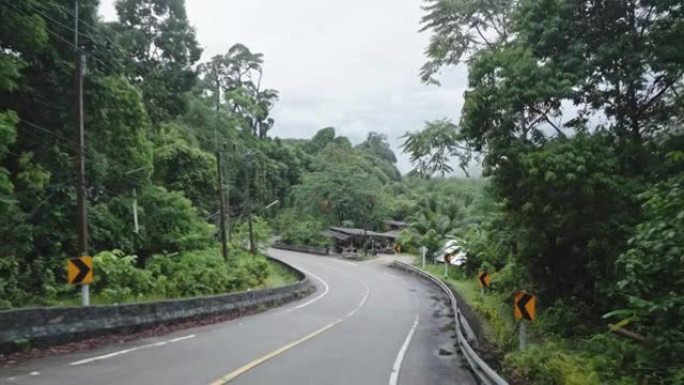 穿过热带森林的道路