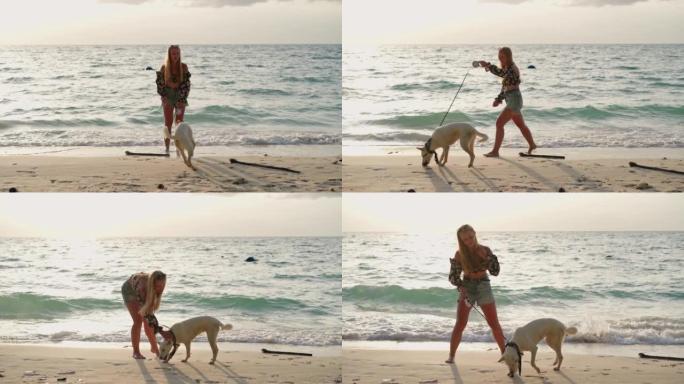 女人在沙滩上与狗同行