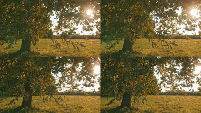 慢动作，手持拍摄的空绳秋千悬挂在阳光明媚的草地上的大树枝上