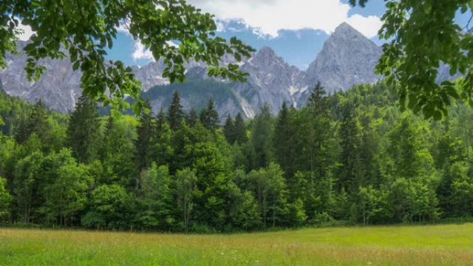 高质量的HDR拍摄阿尔卑斯山的森林和岩石。斯洛文尼亚朱利安阿尔卑斯山之前的绿色草地和常绿森林到达蓝色