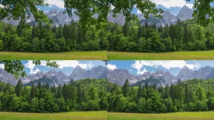 高质量的HDR拍摄阿尔卑斯山的森林和岩石。斯洛文尼亚朱利安阿尔卑斯山之前的绿色草地和常绿森林到达蓝色