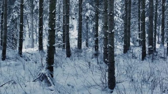 迷失的徒步旅行者独自行走在深雪中迷失方向冬季景观户外探险之旅