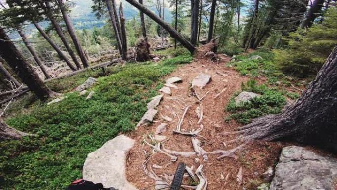 山地自行车手第一视角下山自行车越野自行车