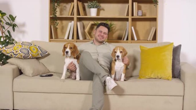 开朗的白人男子与两只可爱的狗在沙发上摆姿势