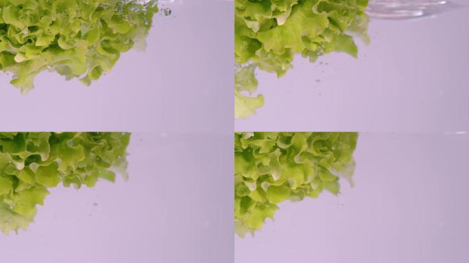 复制空间: 一头长叶莴苣掉入装满淡水的容器中
