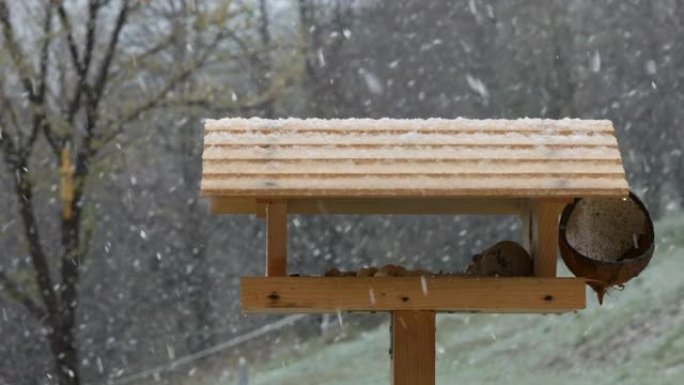 春季后期，潮湿和大雪迅速覆盖了木制喂鸟器