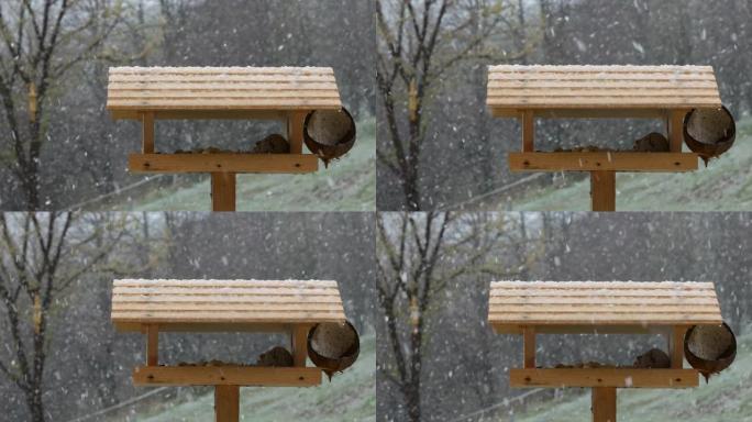 春季后期，潮湿和大雪迅速覆盖了木制喂鸟器